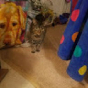 Meet your Posher, Mary